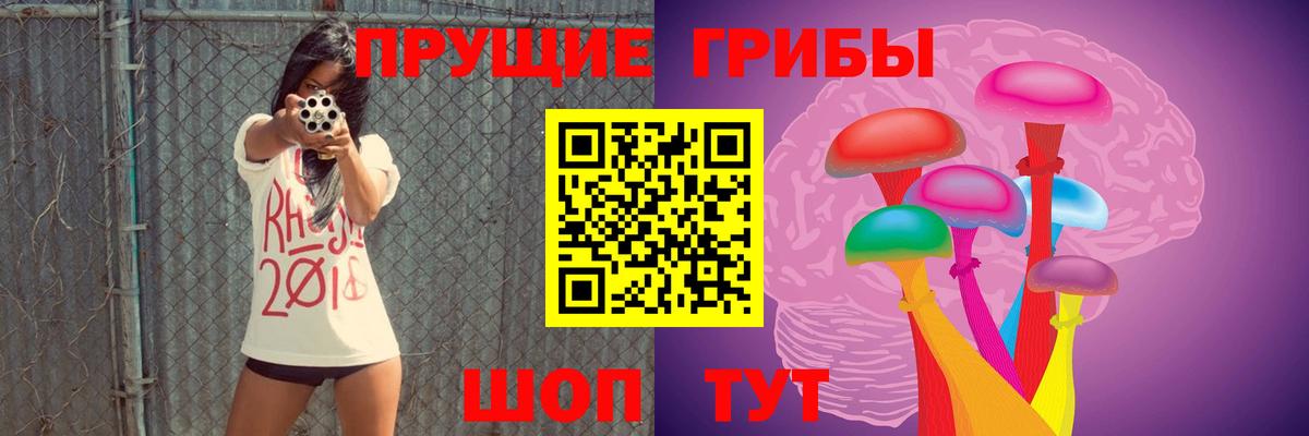 Волхов  Псилоцибиновые грибы MAGIC MUSHROOMS  Псилоцибиновые грибы мухоморы  Вход с VPN 